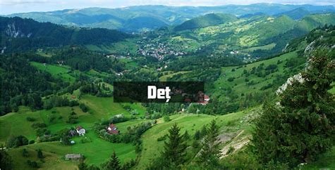 Understanding Deț: Key Concepts and Uses 2024