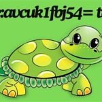 Discovering the cute:avcuk1fbj54= turtle